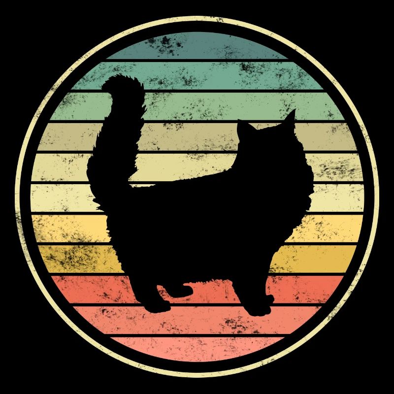 Chats Chats
