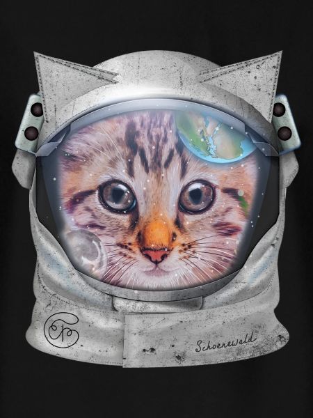 Cat in space