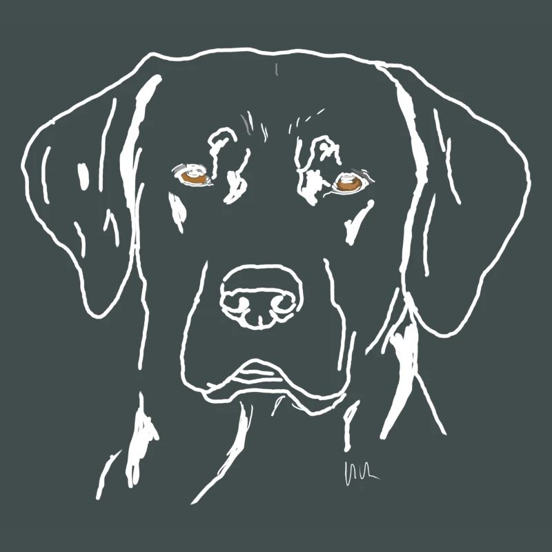 Labrador