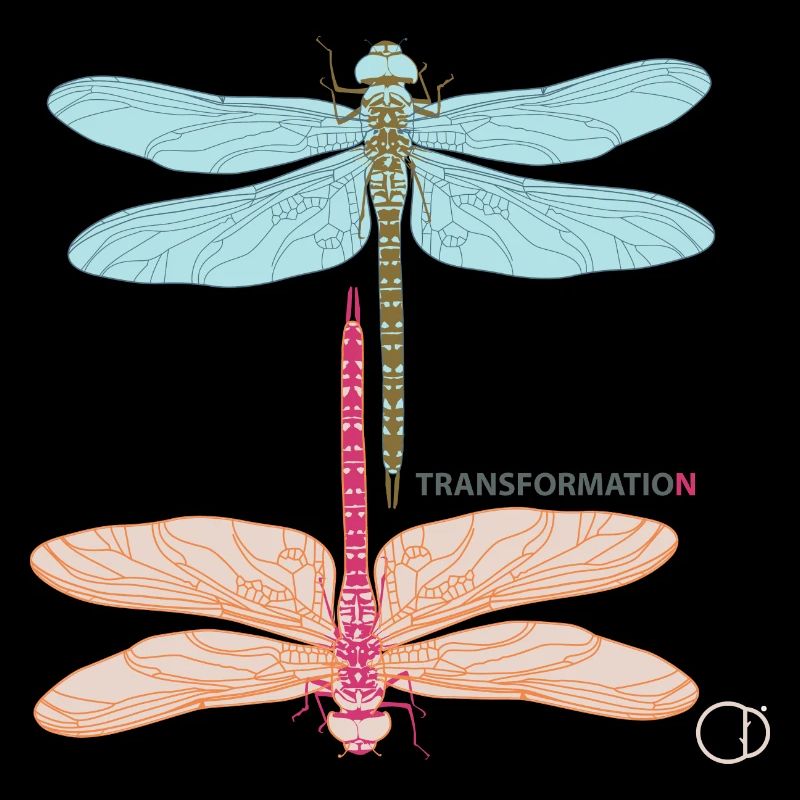 Libellules et transformation par CD