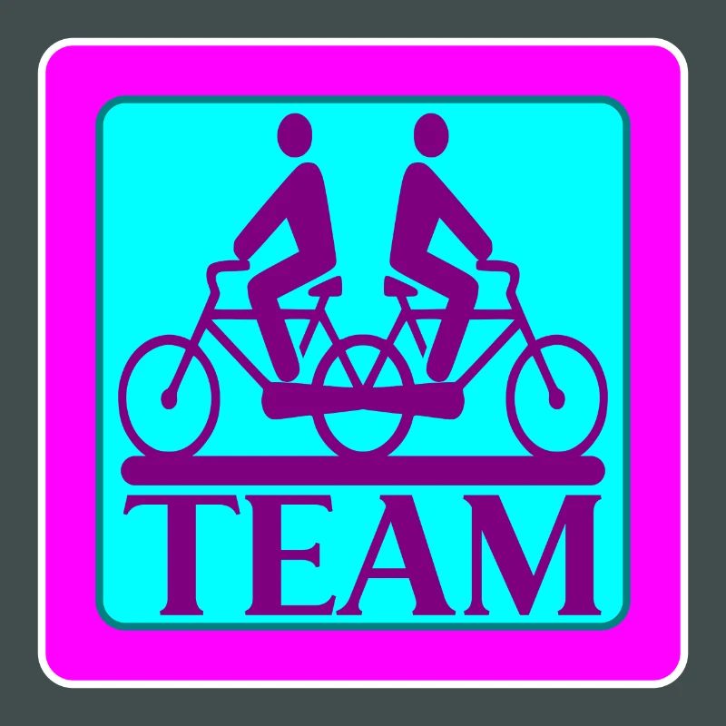 TEAM PROBLEMS - BICYCLE - STRATEGY