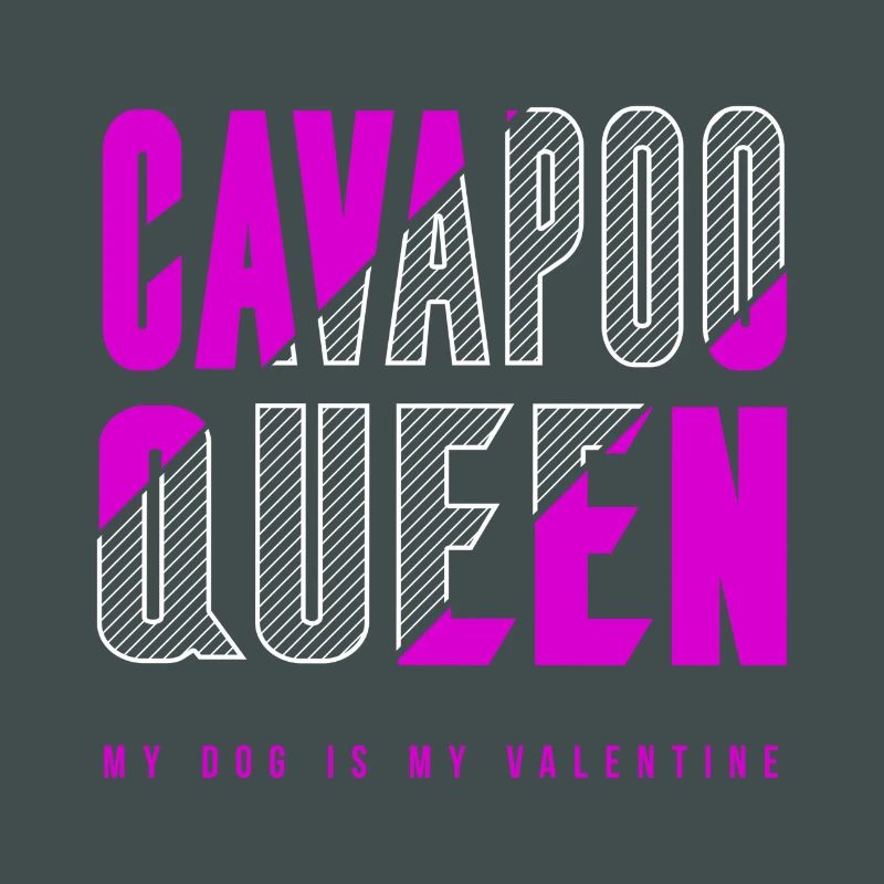 Cavapoo Queen