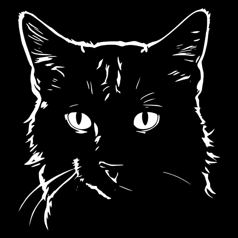 Cat 4