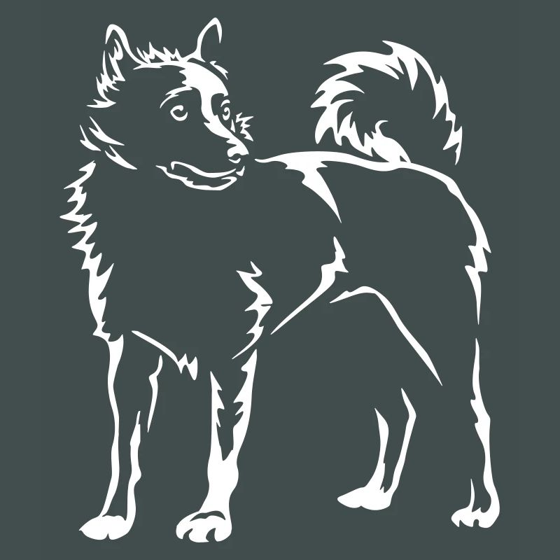 Schipperke "Black Edition"