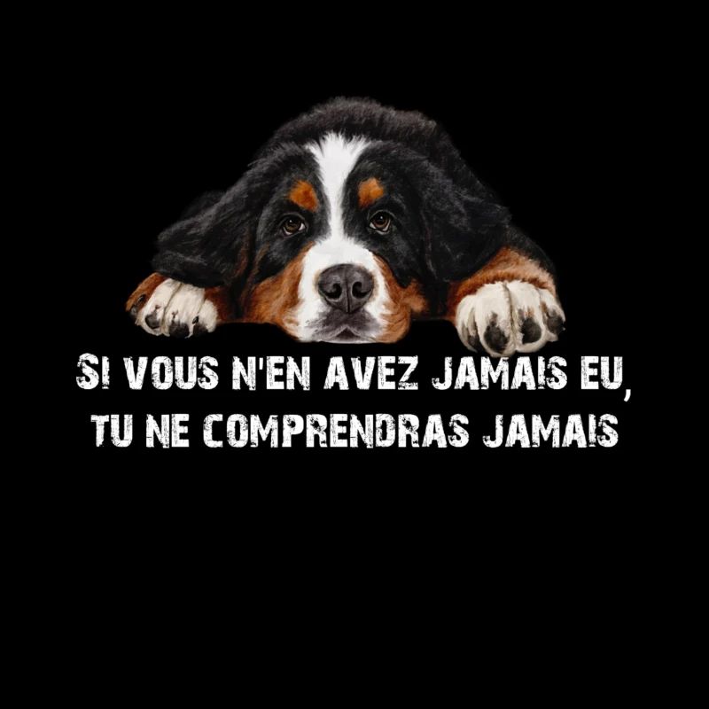 Bernese mountain dog