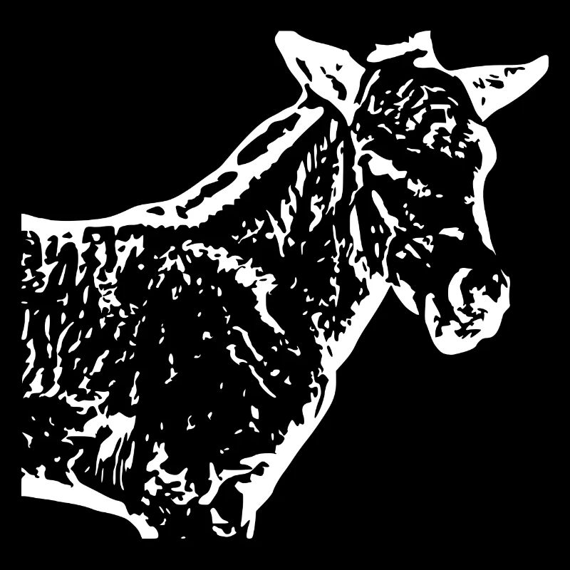 cheval blanc cheval blanc t-shirt cadeau cavalier