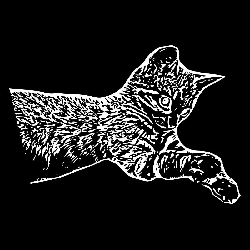 Cat White Kitten Kitten Gift Shirt