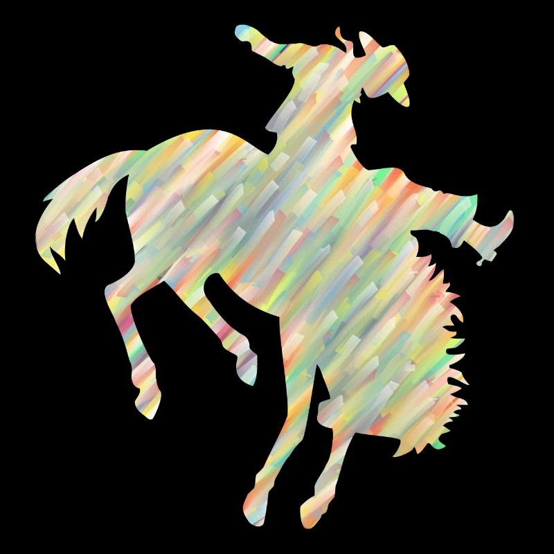Rodeo Reiten
