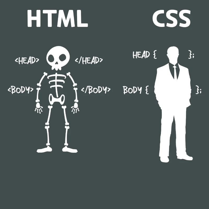 Code Css C++ Php Java Developer Code Scripting