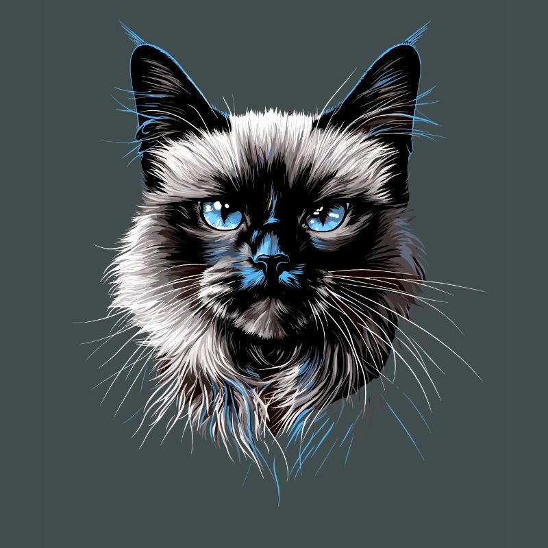 Chat Birman Chat Birman Sacré Chat Birman Mignon Chats Birmans