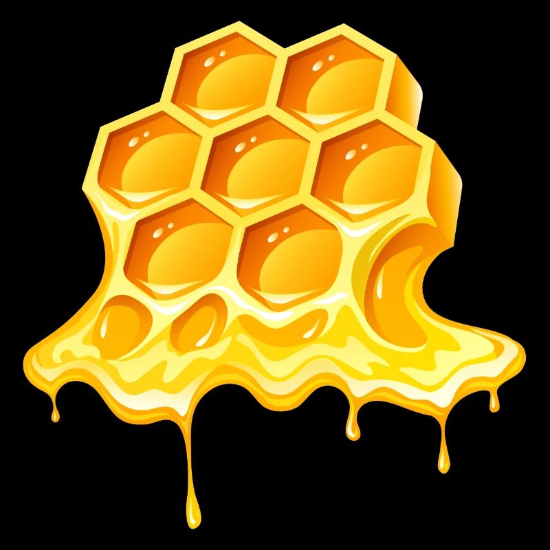 honey, beekeeper, beekeeper