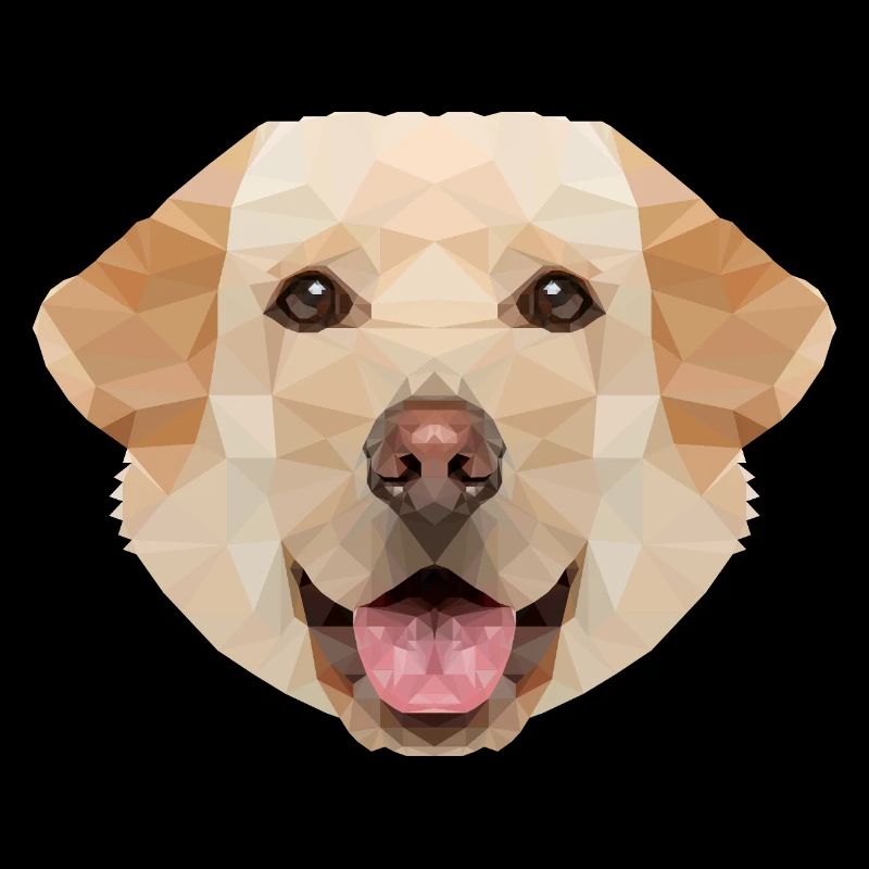Labrador Polygon Hund
