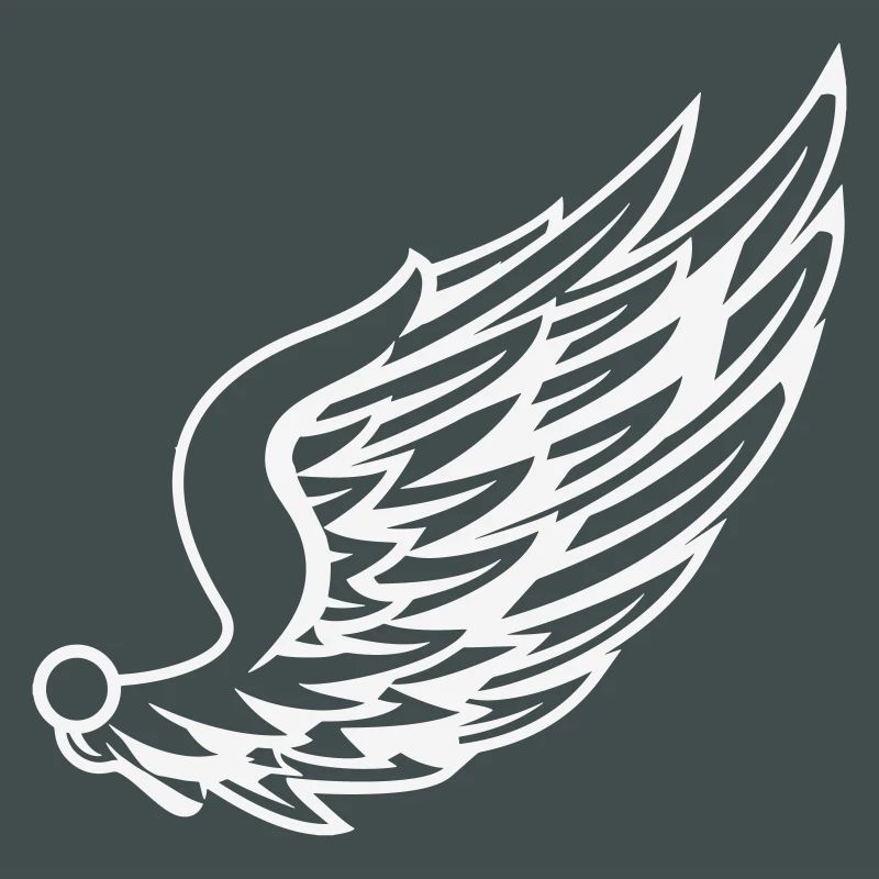 Wings with dynamic feather drawing