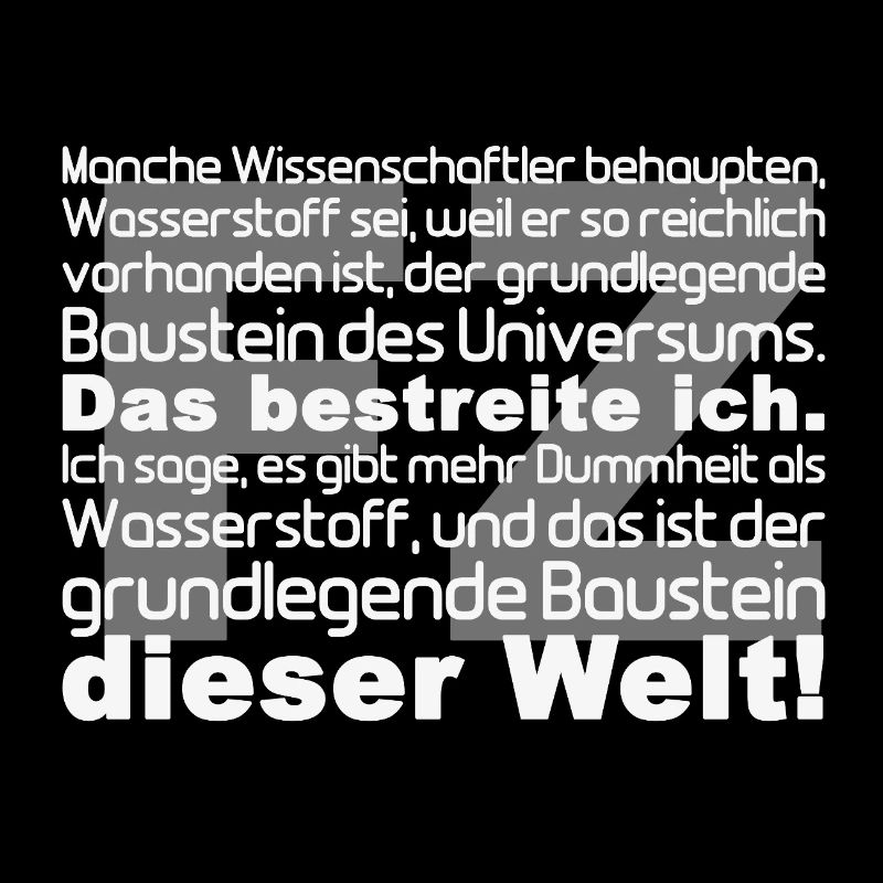 Universums Baustein Zitat Typo
