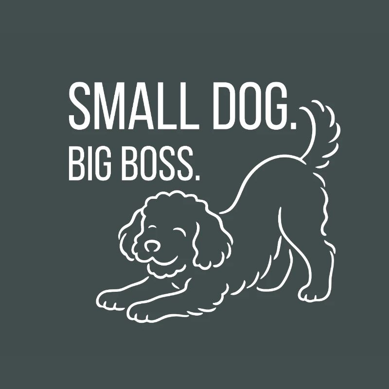 Zwergpudel, Malti-poo oder Königspudel 