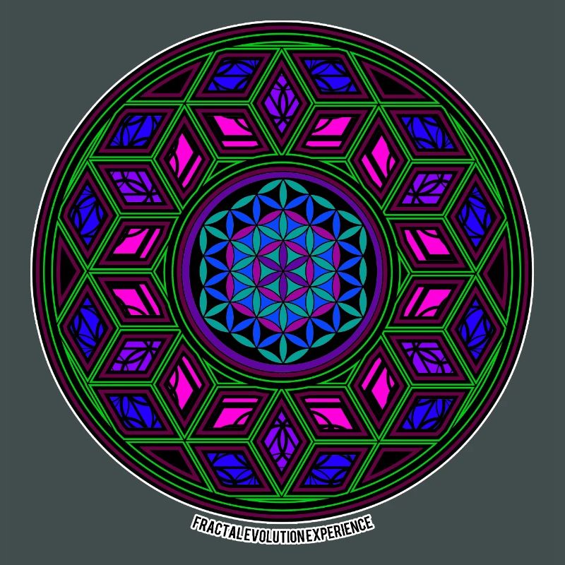 Fractal Evolution Experience Kaleidoscope Mandala