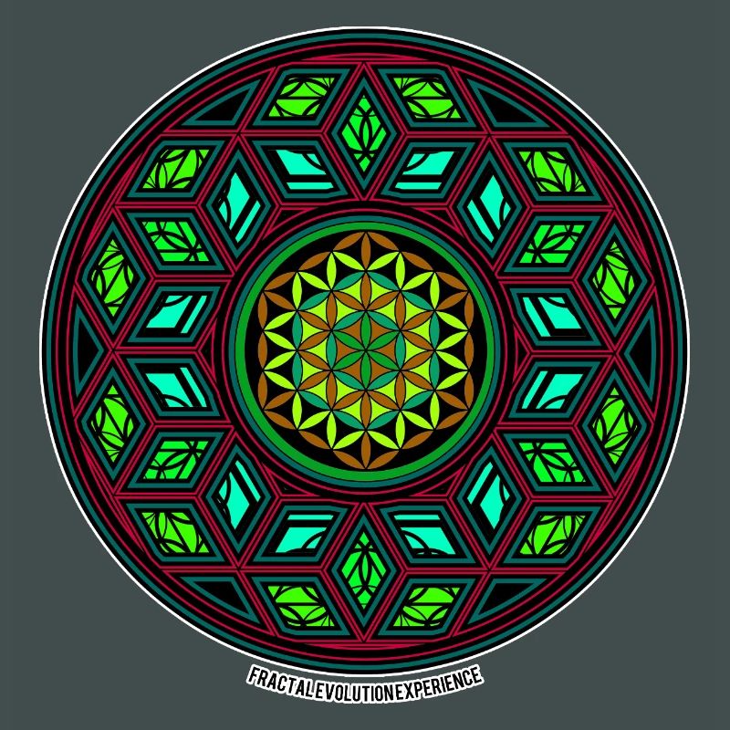 Fractal Evolution Kaleidoscope Mandala Pattern Yoga