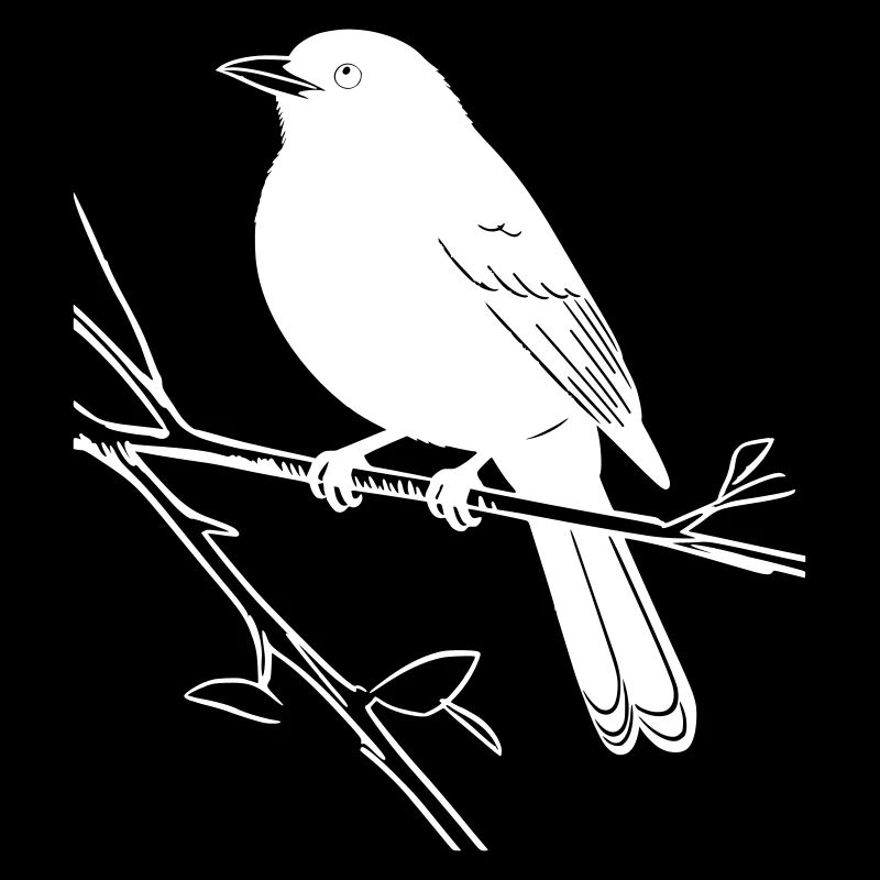 Bird silhouette on branch