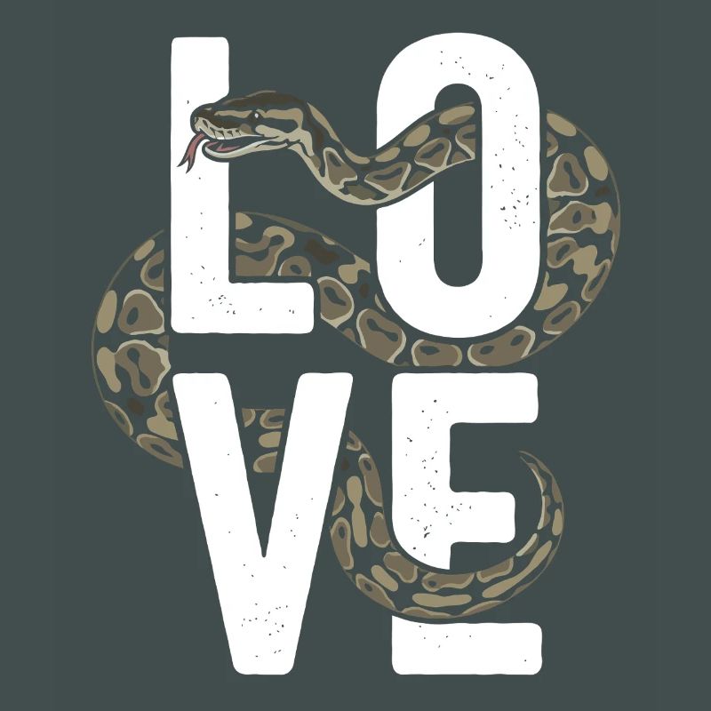 King Python Snakes LOVE Terrarium Python