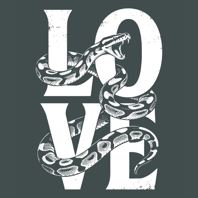 King Python Snakes LOVE Terrarium Python