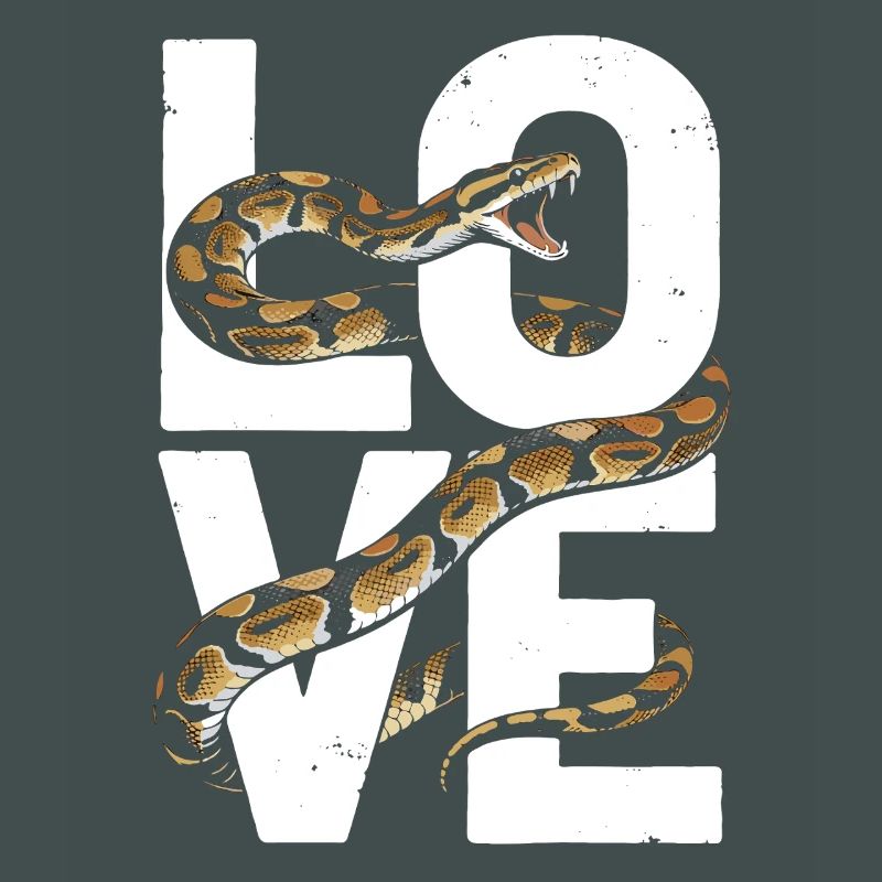 King Python Snakes LOVE Terrarium Python