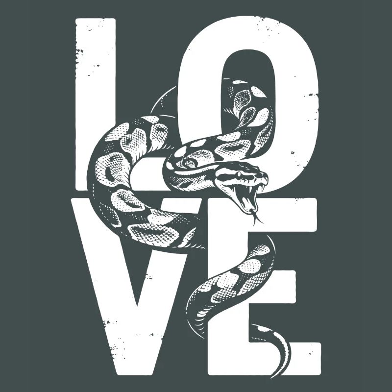 King Python Snakes LOVE Terrarium Python