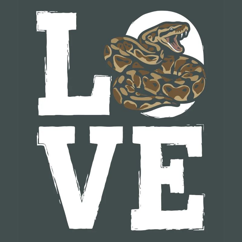 Königspython Schlangen LOVE Terrarium Python