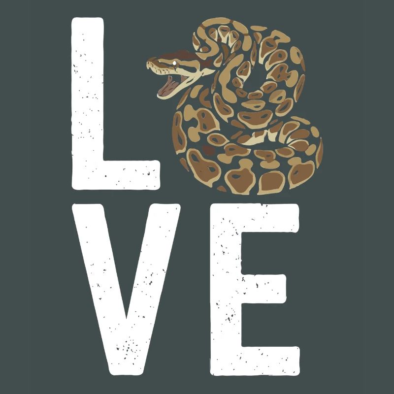 Königspython Schlangen LOVE Terrarium Python