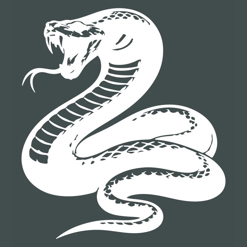 Schlange Python Silhouette