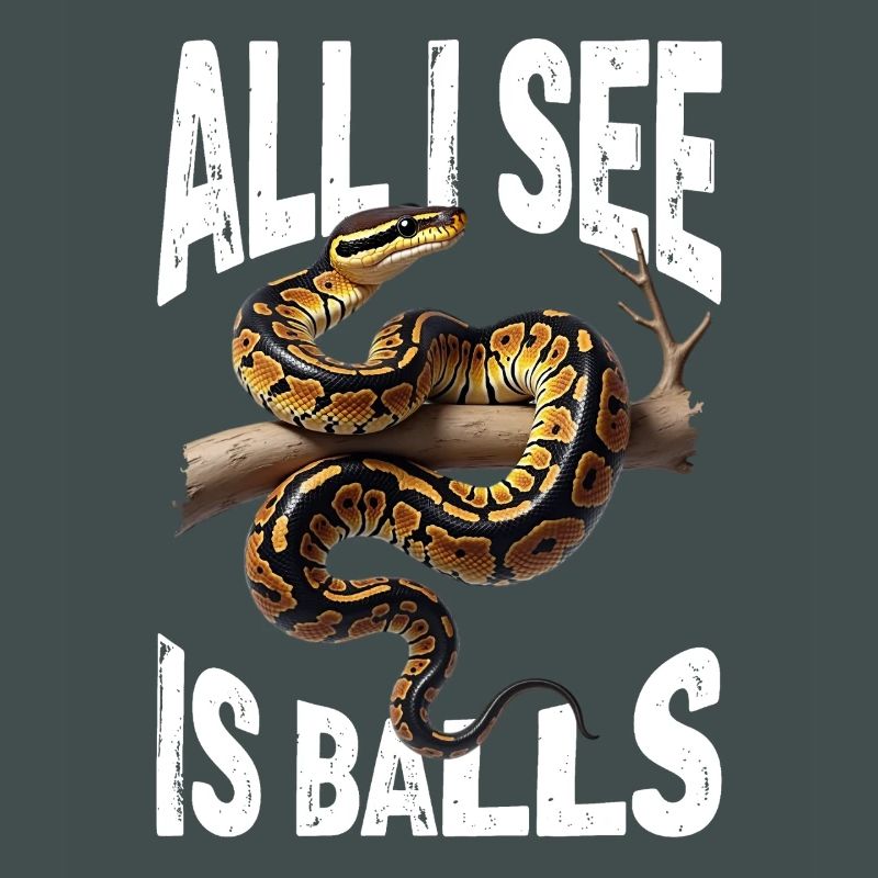 Python roi Serpents Amateurs de terrarium Python