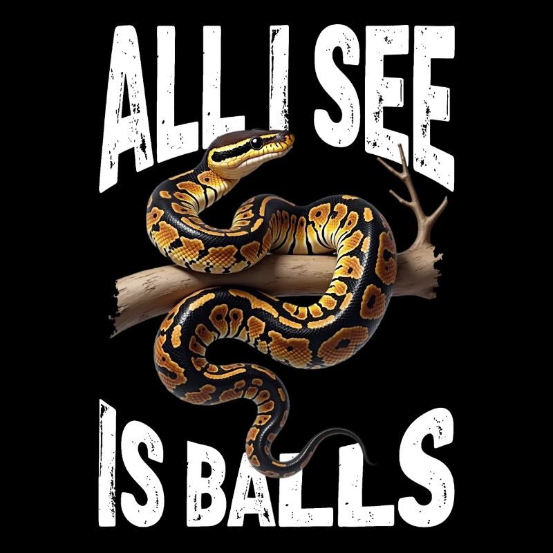 Königspython Schlangen Liebhaber Terrarium Python