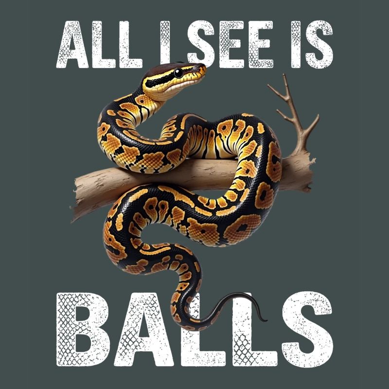 King Python Snakes Lover Terrarium Python