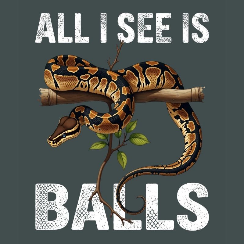 Python roi Serpents Amateurs de terrarium Python