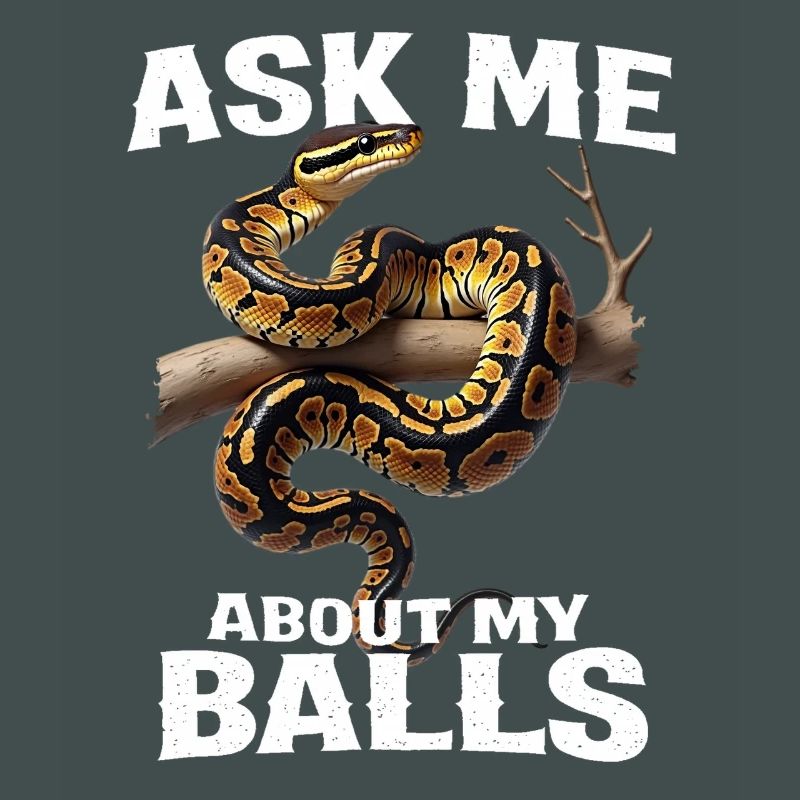 Python roi Serpents Amateurs de terrarium Python