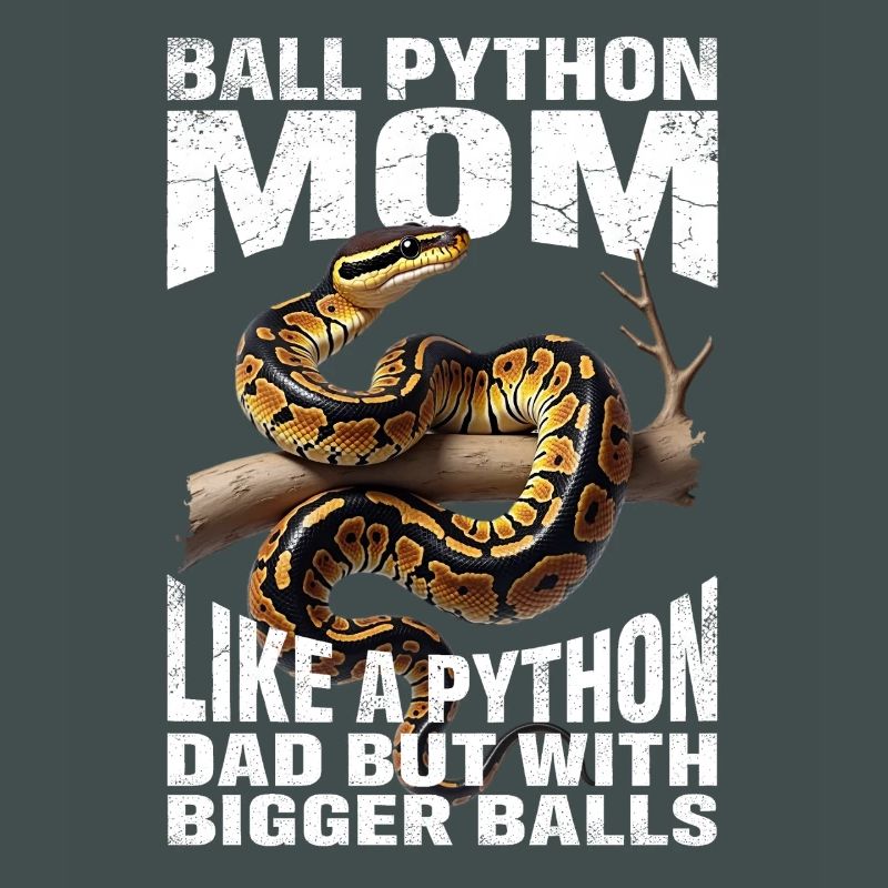 King Python Mom Mom Snakes Terrarium Python