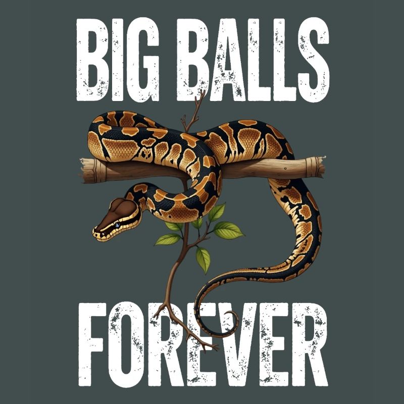 Königspython Schlangen Liebhaber Terrarium Python