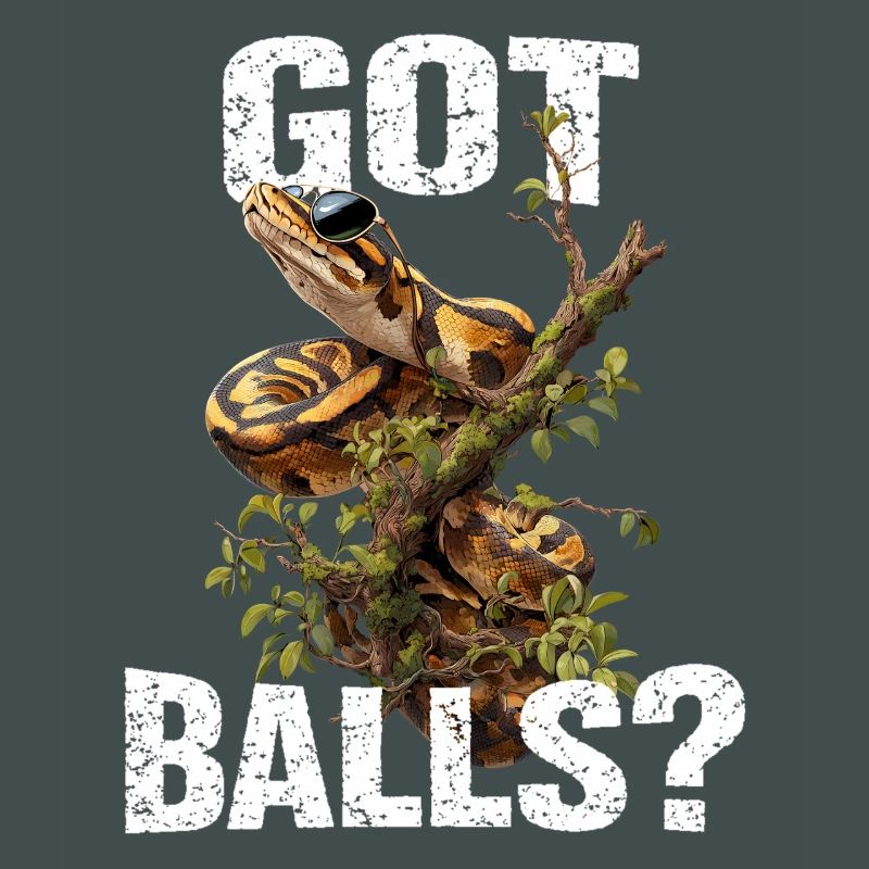 Python roi Serpents Amateurs de terrarium Python