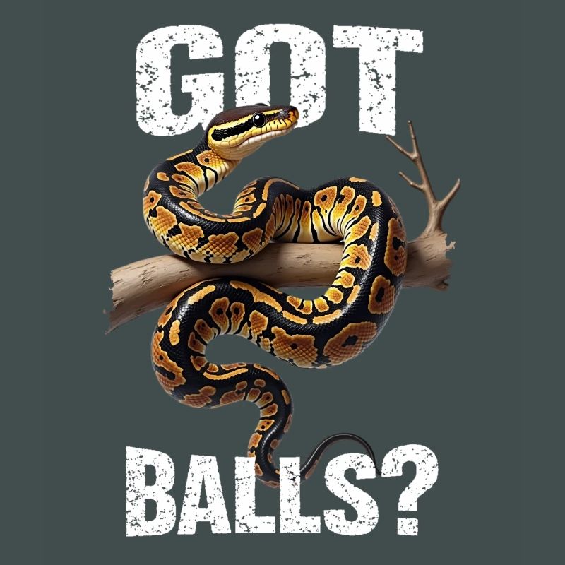 Python roi Serpents Amateurs de terrarium Python