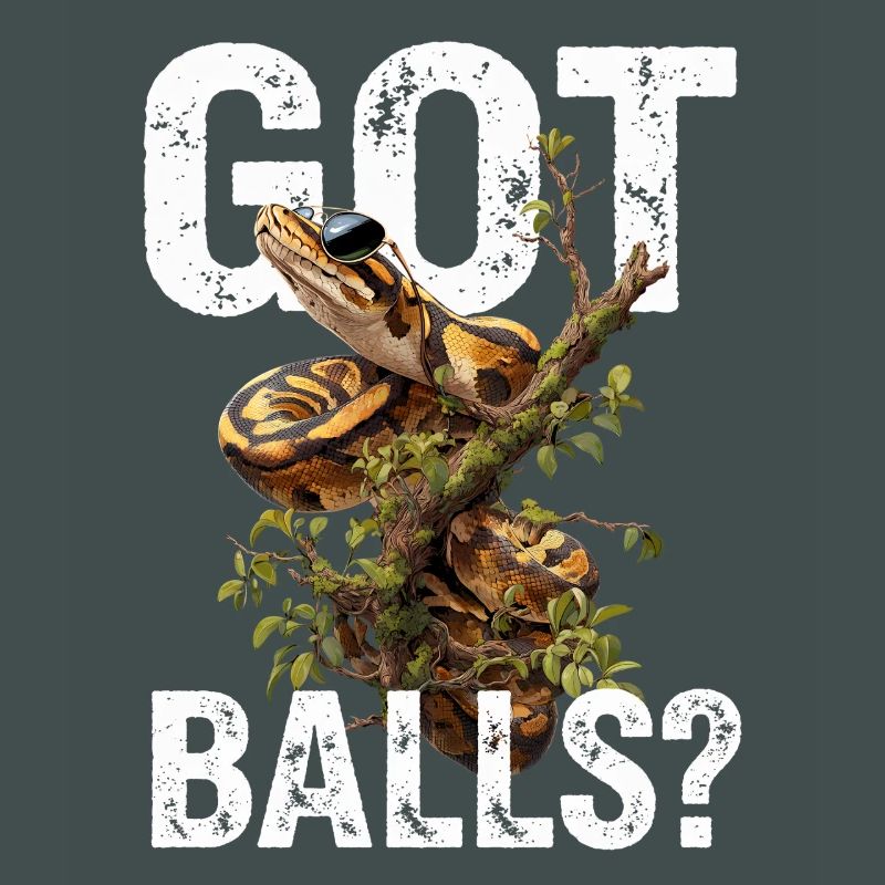 Python roi Serpents Amateurs de terrarium Python