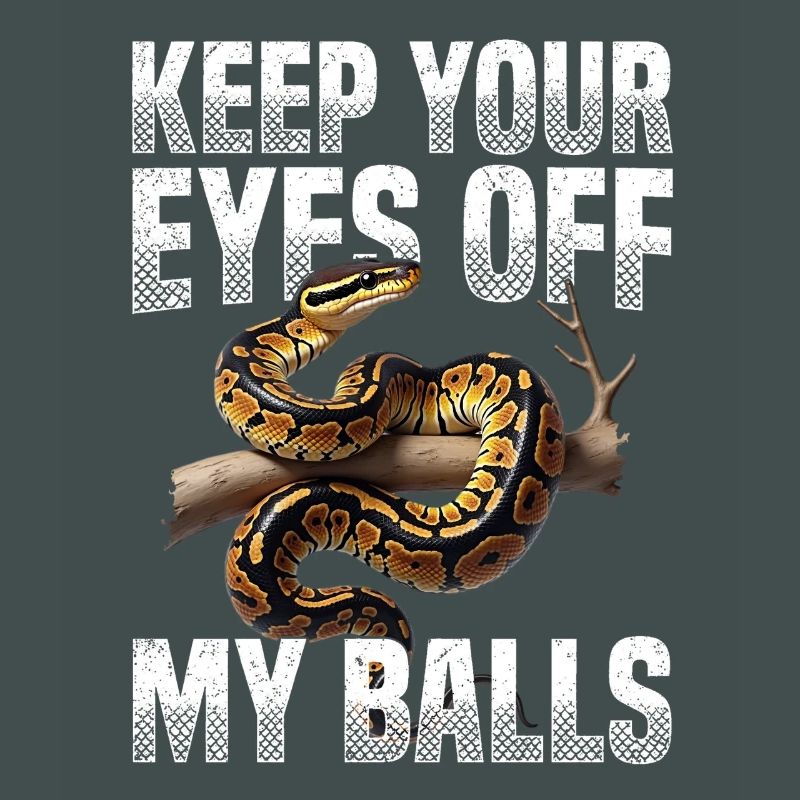 Königspython Schlangen Liebhaber Terrarium Python