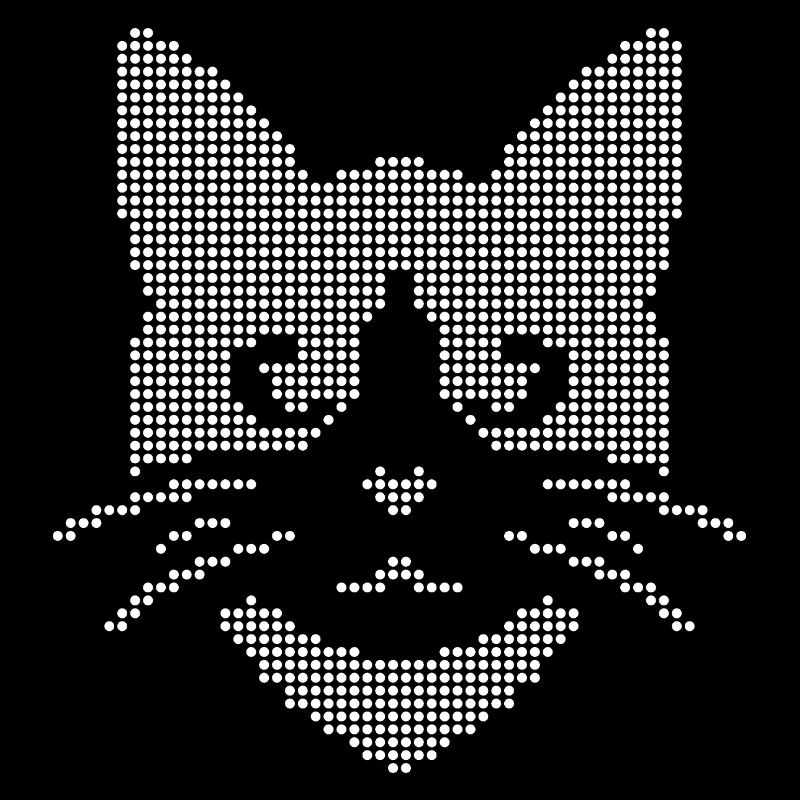 Visage de chat en demi-teinte