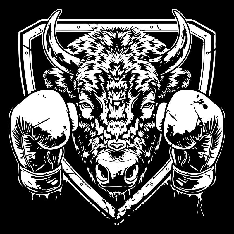 Bison Boxen MMA