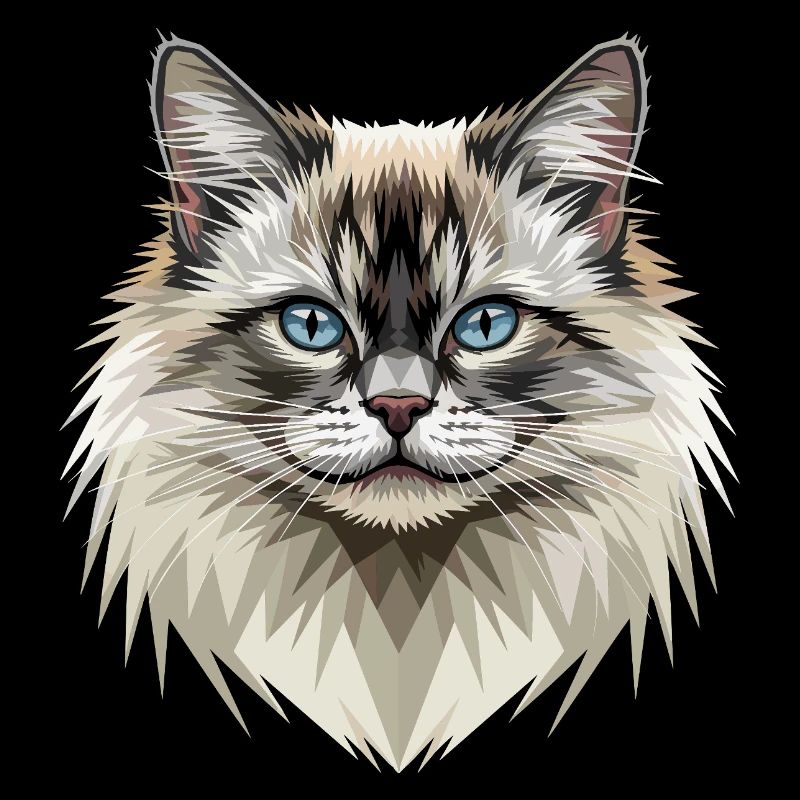Chat Birman Chat Birman Sacré Chat Birman Mignons Chats Birman
