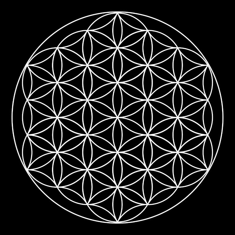 Heilige Geometrie der Blume des Lebens