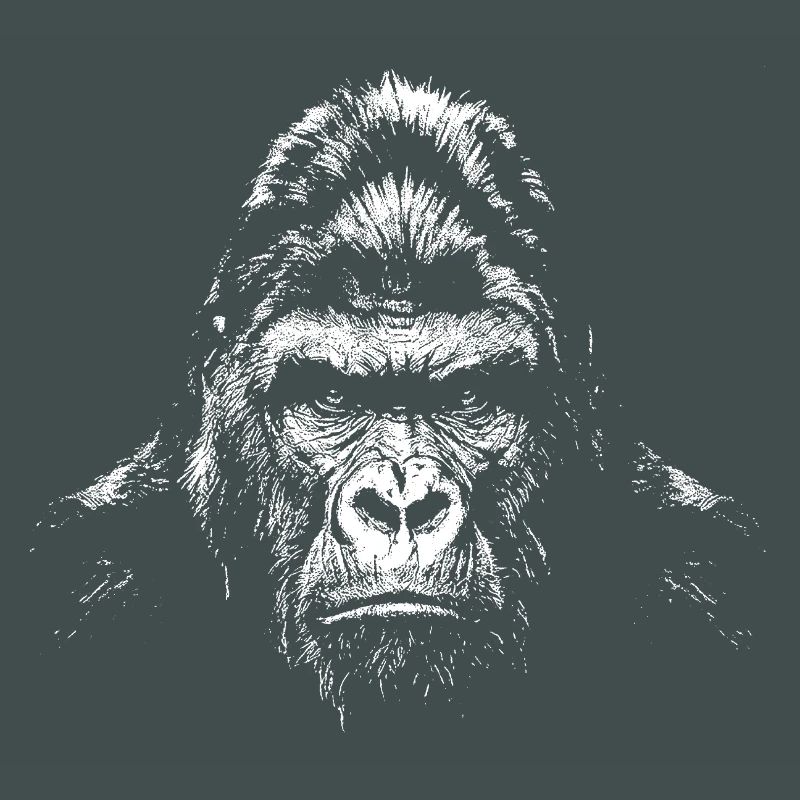 Gorilla