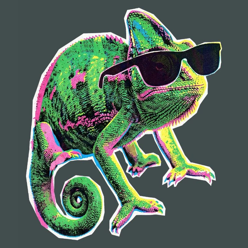 Chameleon Sunglasses