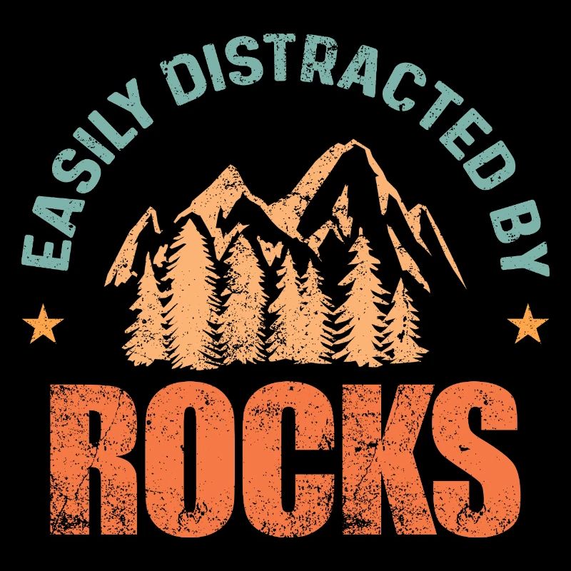 Rocks Collecting Mountain Forest 