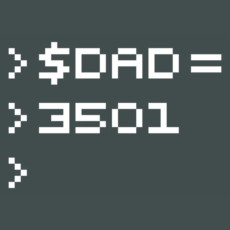 DAD Terminal de Pixels Nerd Code 8-Bits Rétro