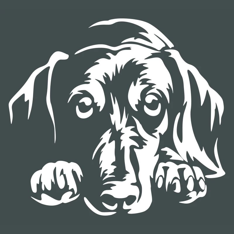 Dachshund "Black Edition"