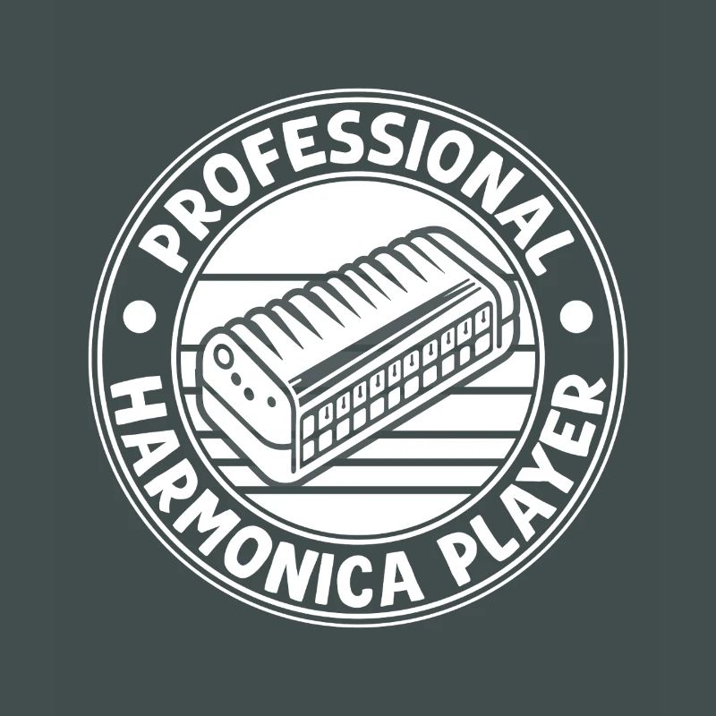 Harmonica Musican Professional Harmonica